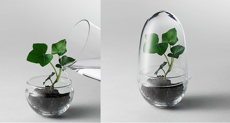 Grow glaskupa minidrivhus från Designhouse Stockholm